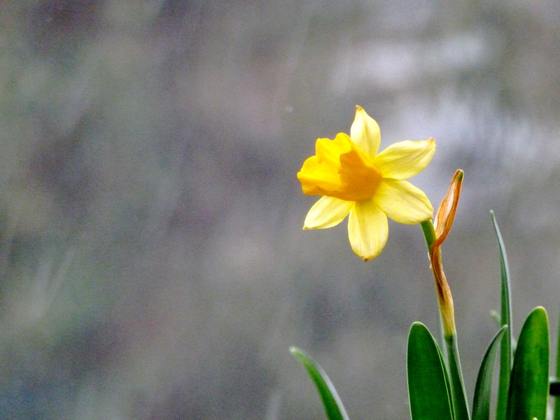 blij dat ik binnen zit!