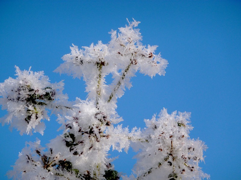 mooie witte jassen aan