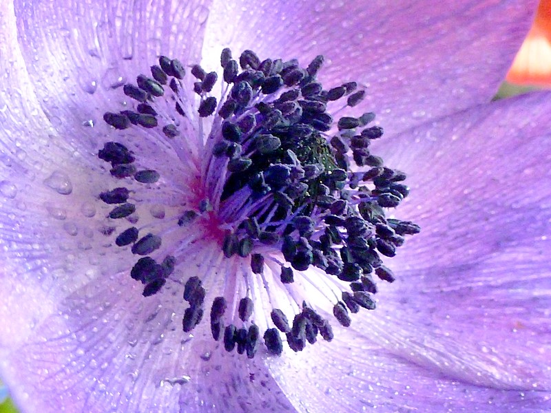 Haal het voorjaar in huis!