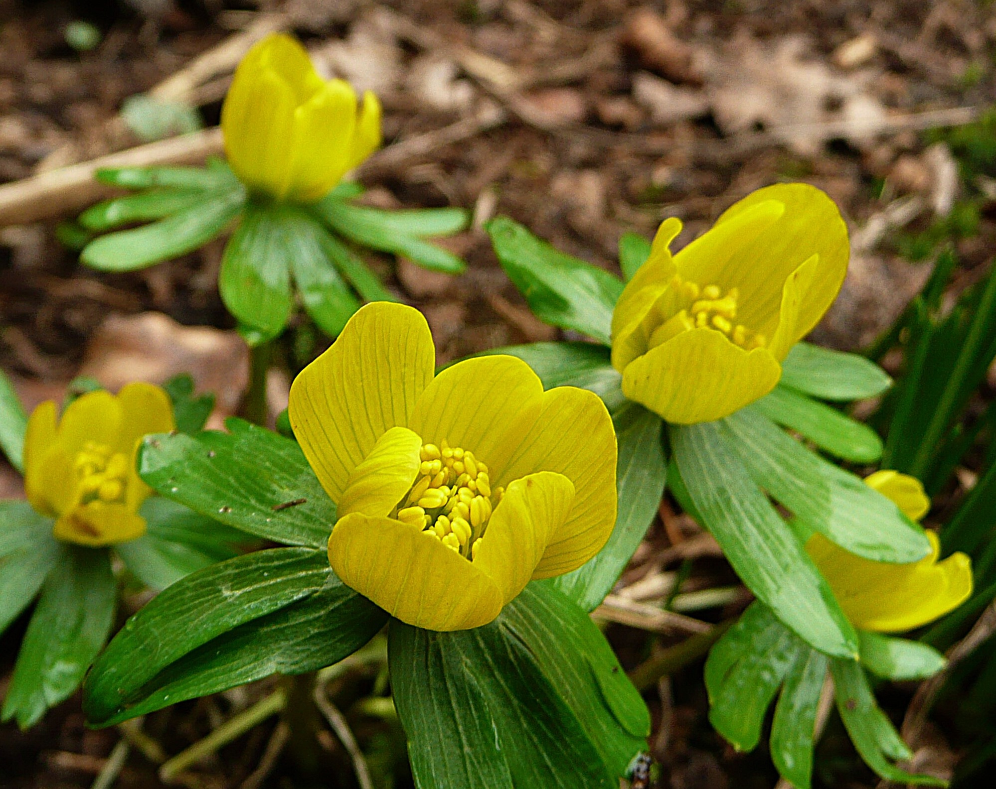 En toen waren ze open 2