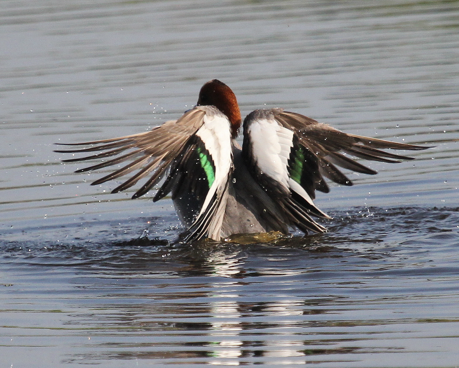 Een genot om naar te kijken (3)
