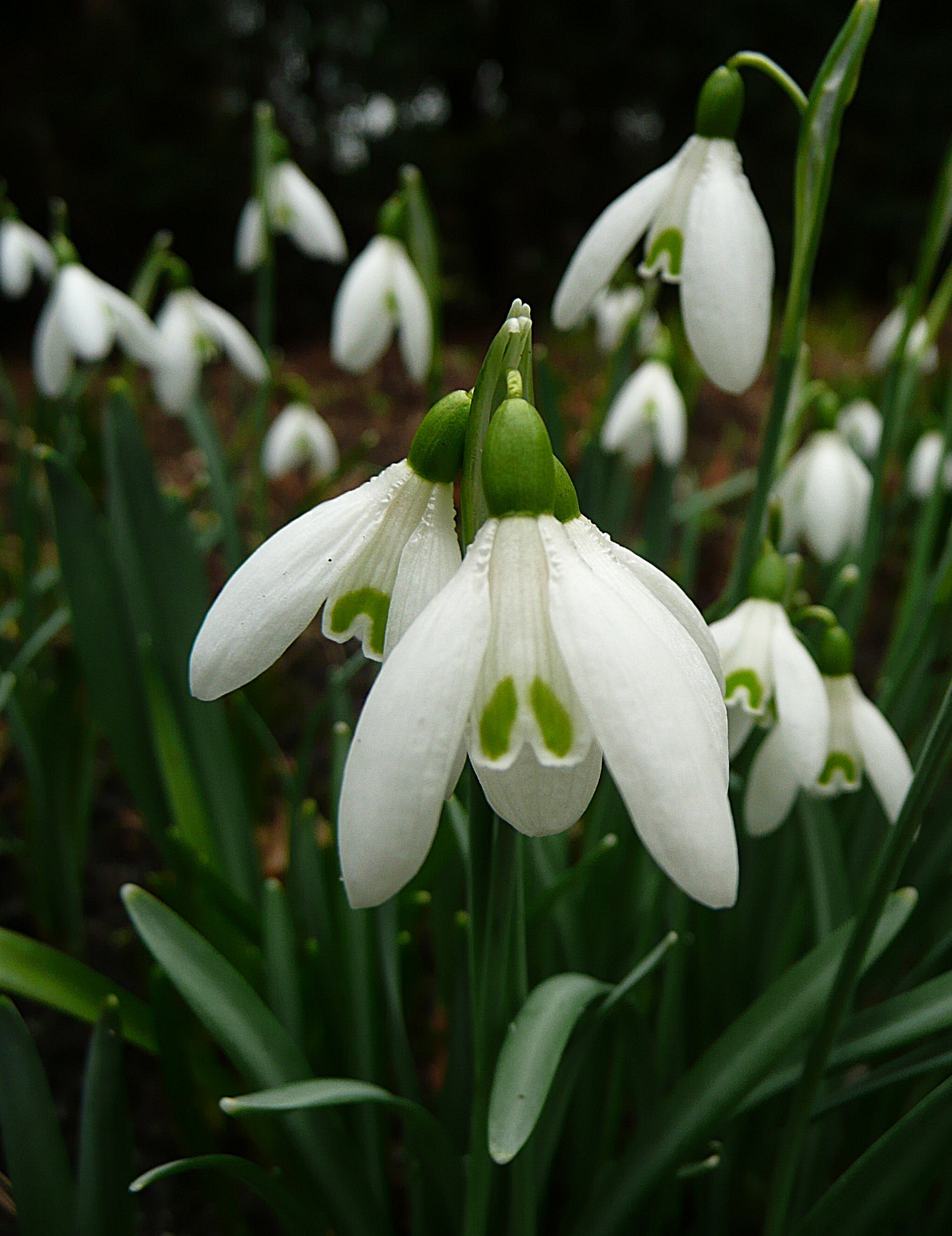 En toen waren ze open