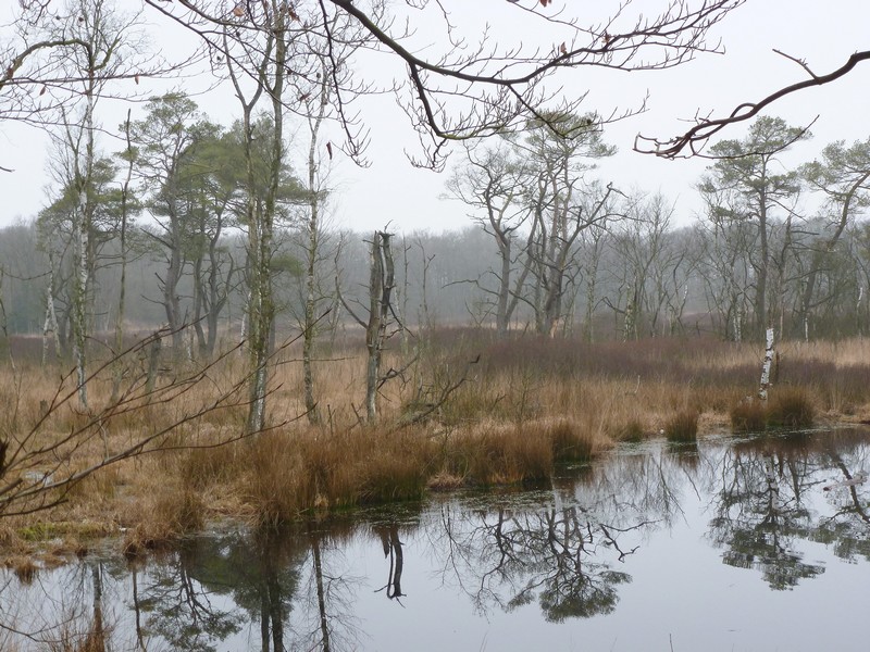 om depri van te worden 