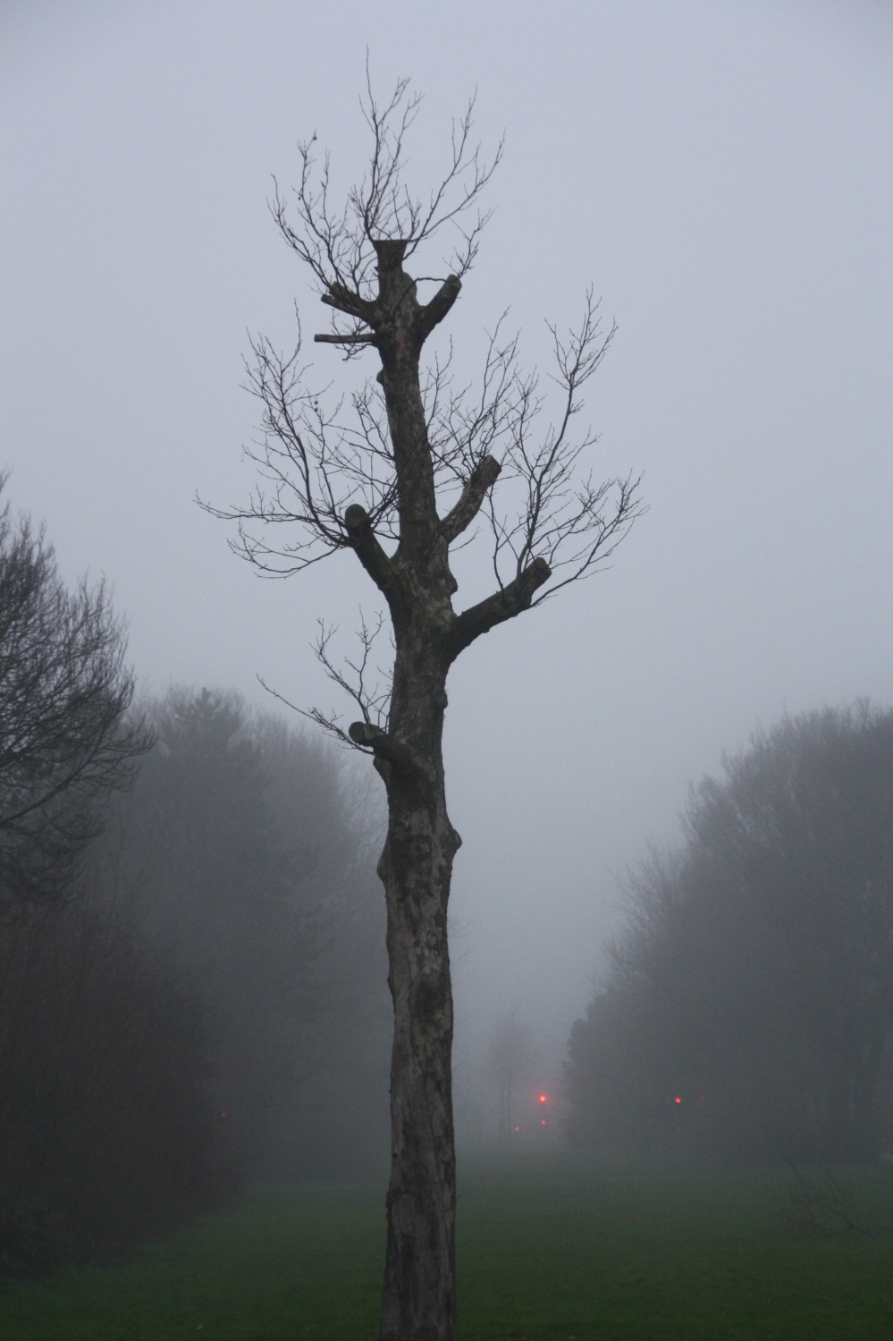 mistig