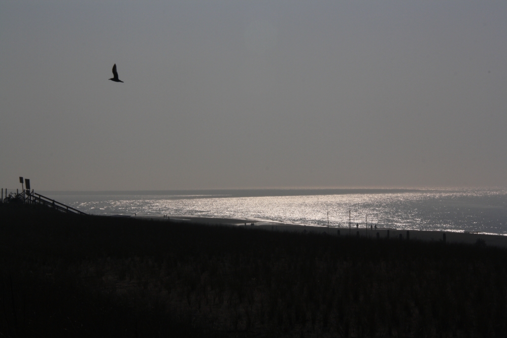 Zandmotor bij Kijkduin
