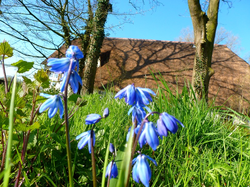 zomaar onderweg in de berm