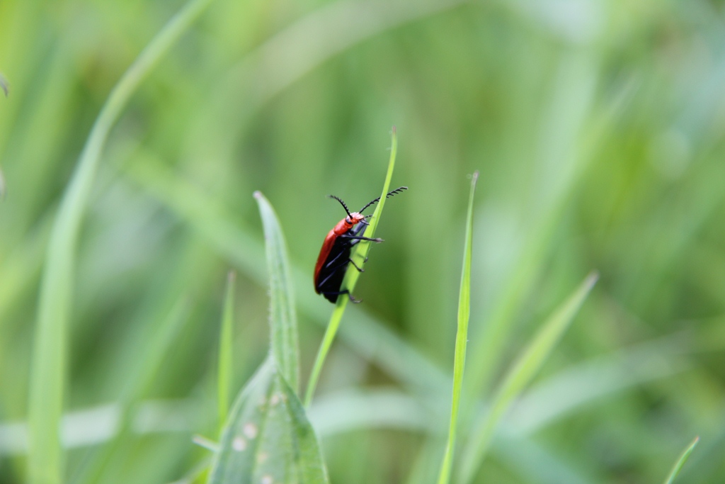 Nr.4) Kan niet goed gaan