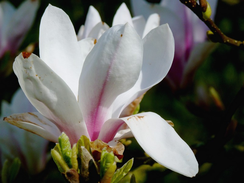 opwarmen in de zon..