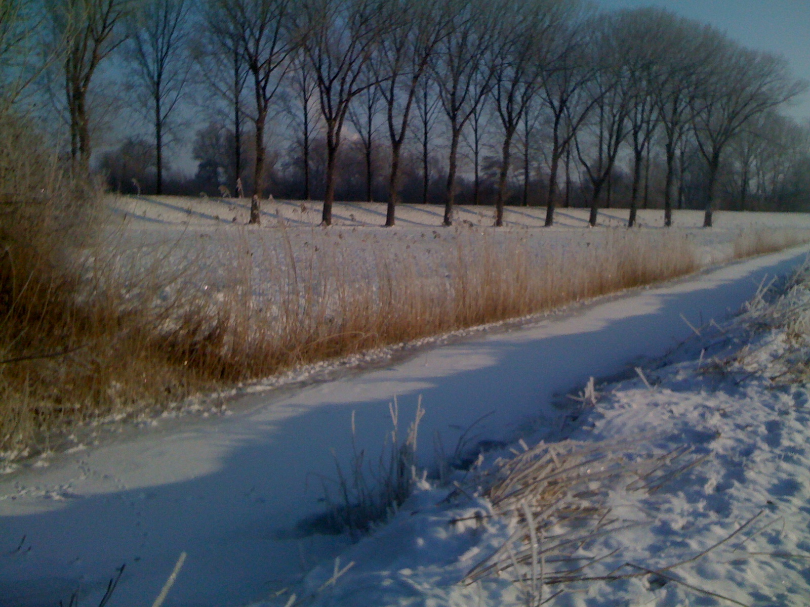 winter