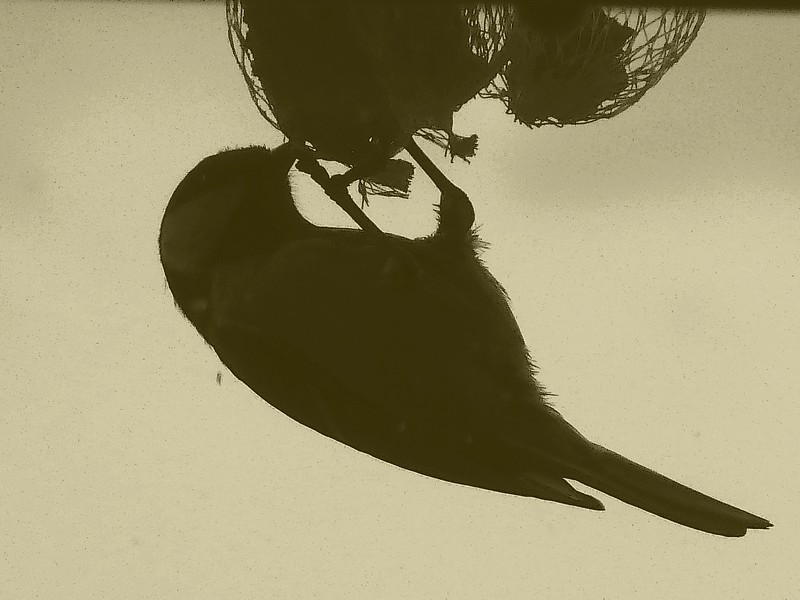 ik wil niet herkenbaar in beeld