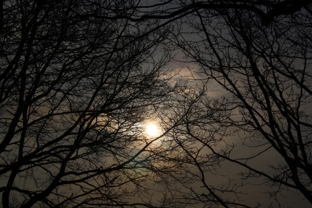 zon