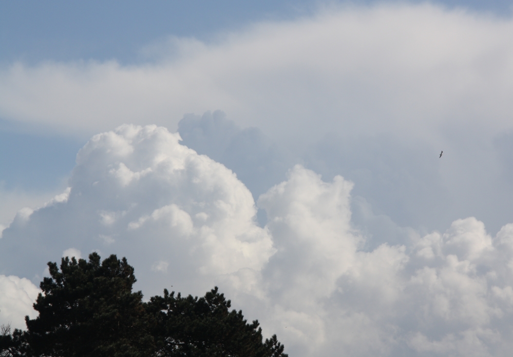 Mooie wolken