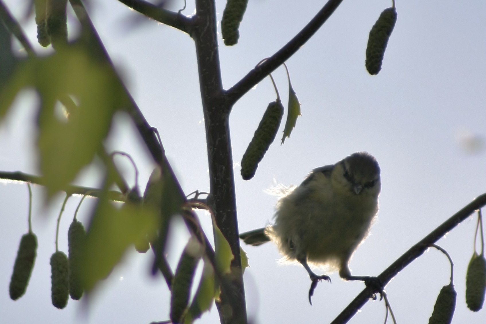 Landing met de zon in de rug