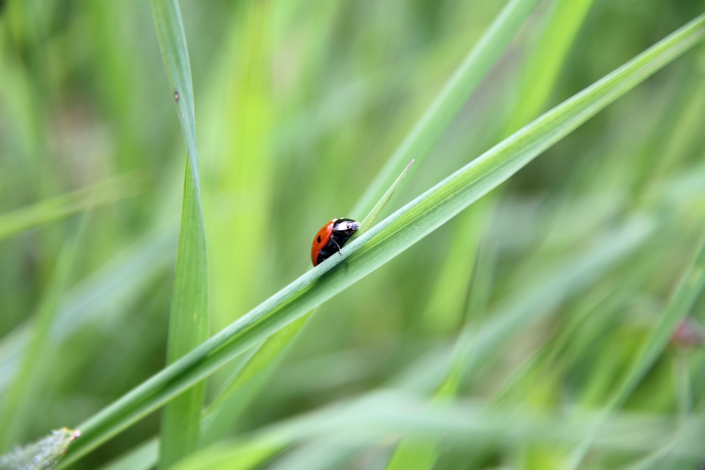 It 's a jungle out there