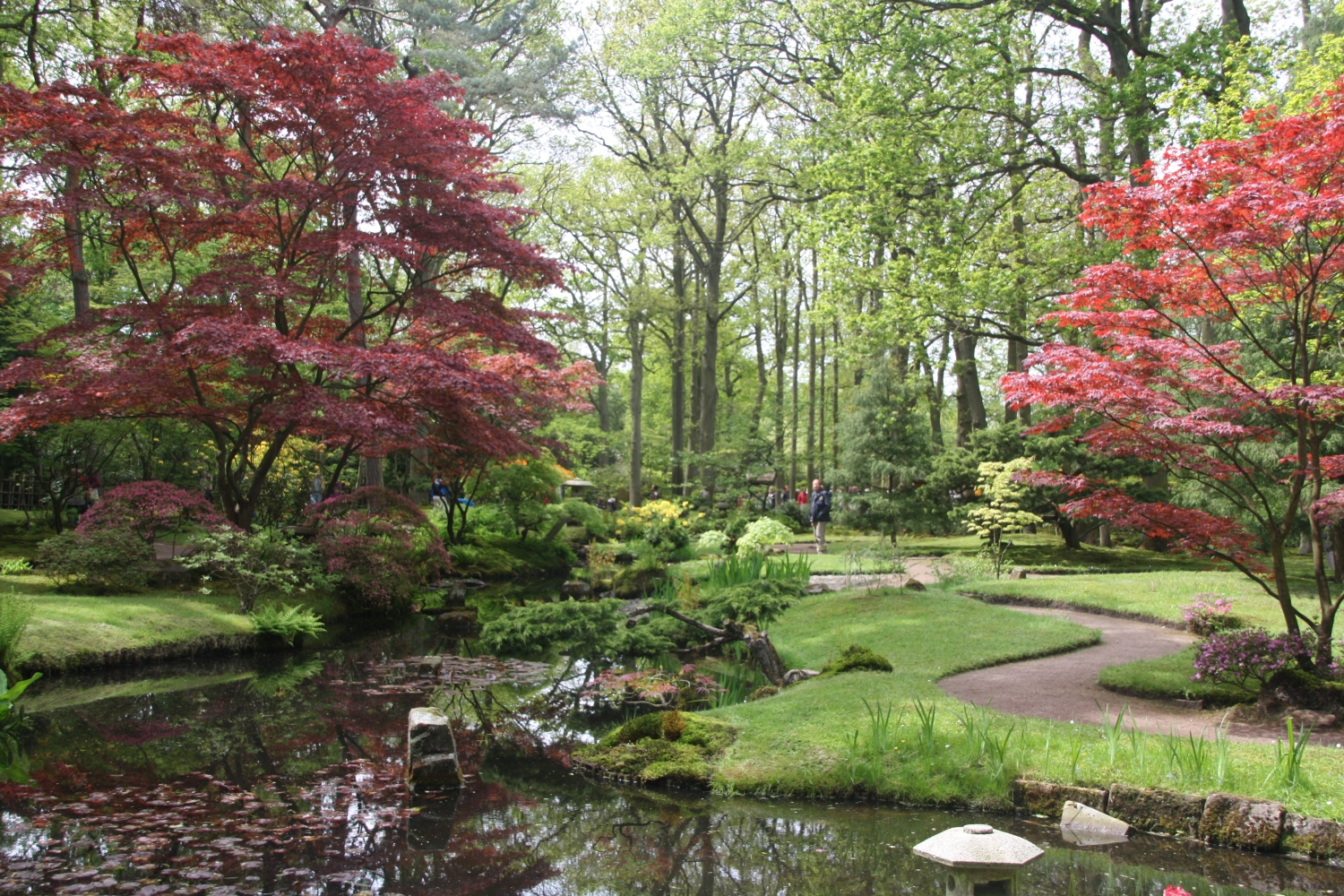 Japanse tuin
