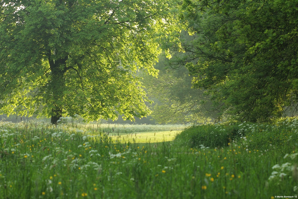 Sfeerplaatje voor Hennepen...