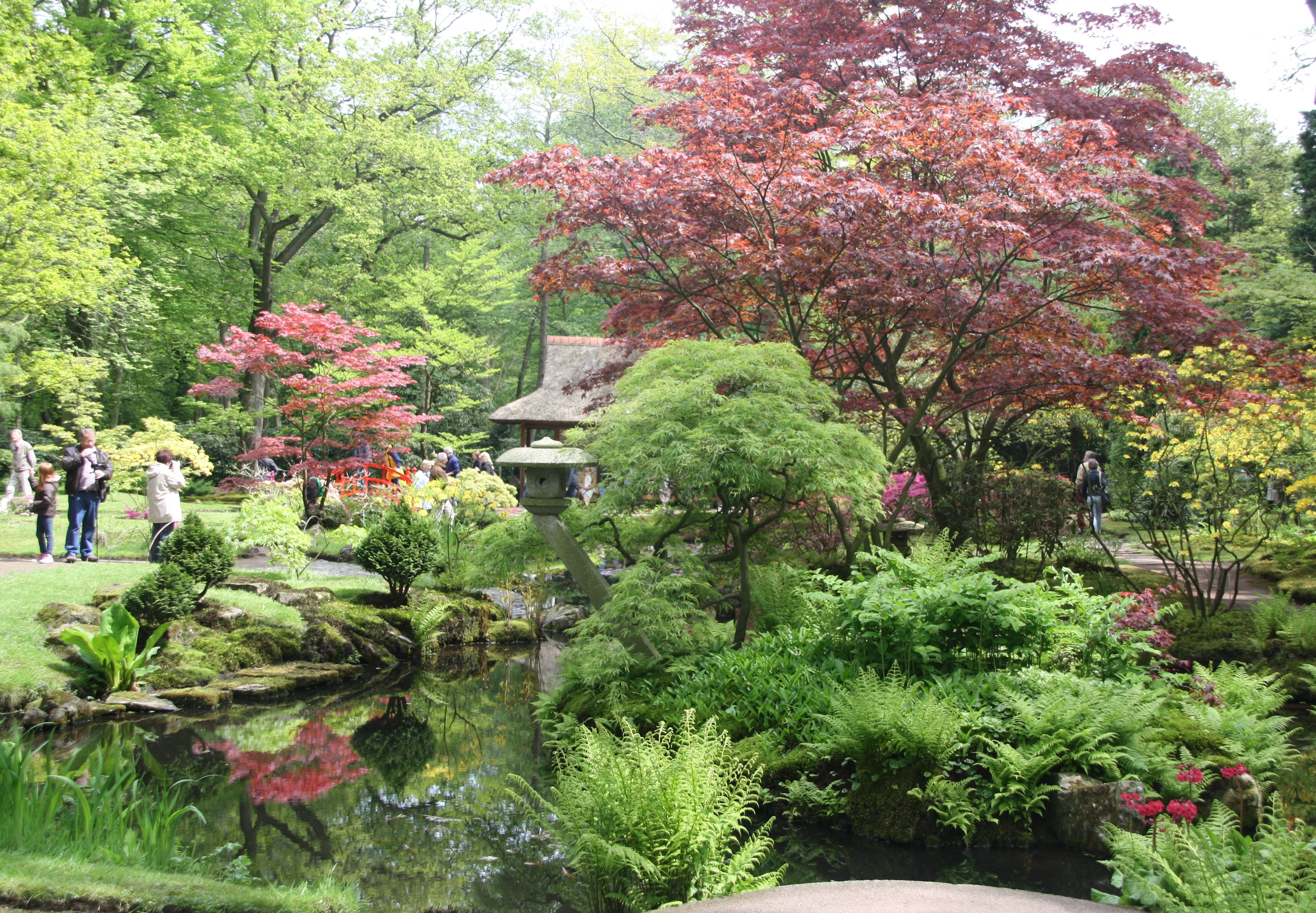 Japanse tuin