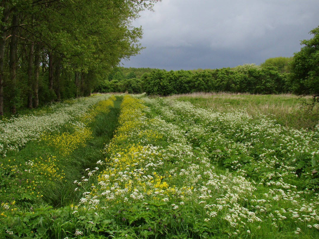 Broekpolder Vlaardingen