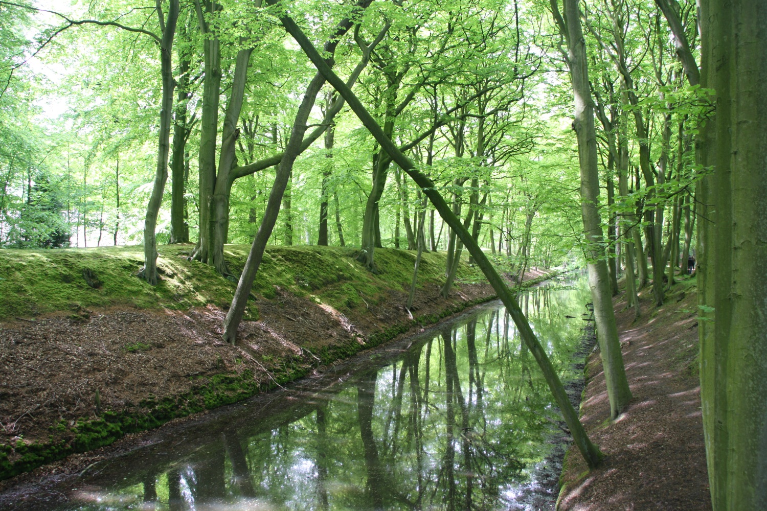 Clingendael