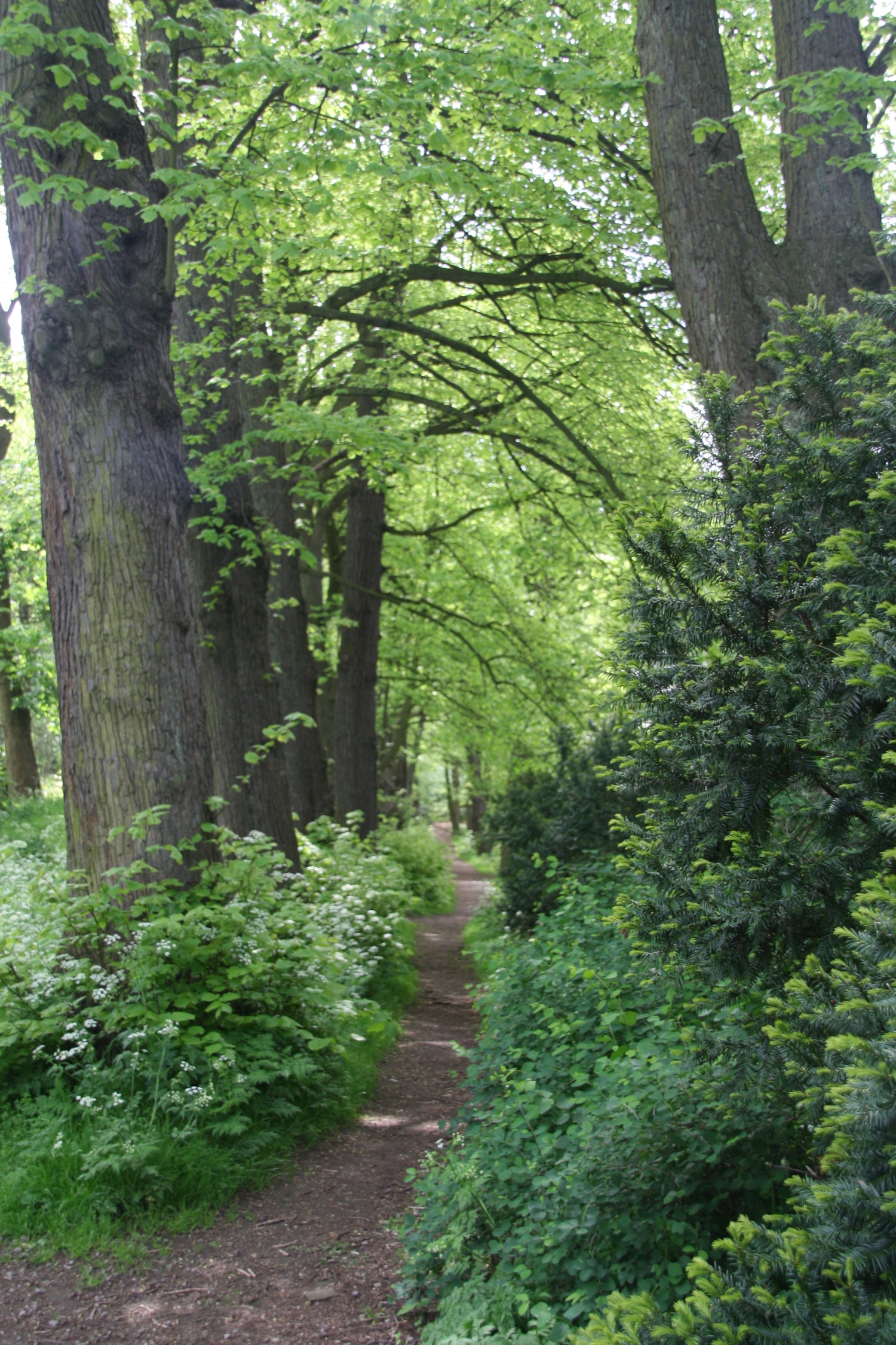 Clingendael