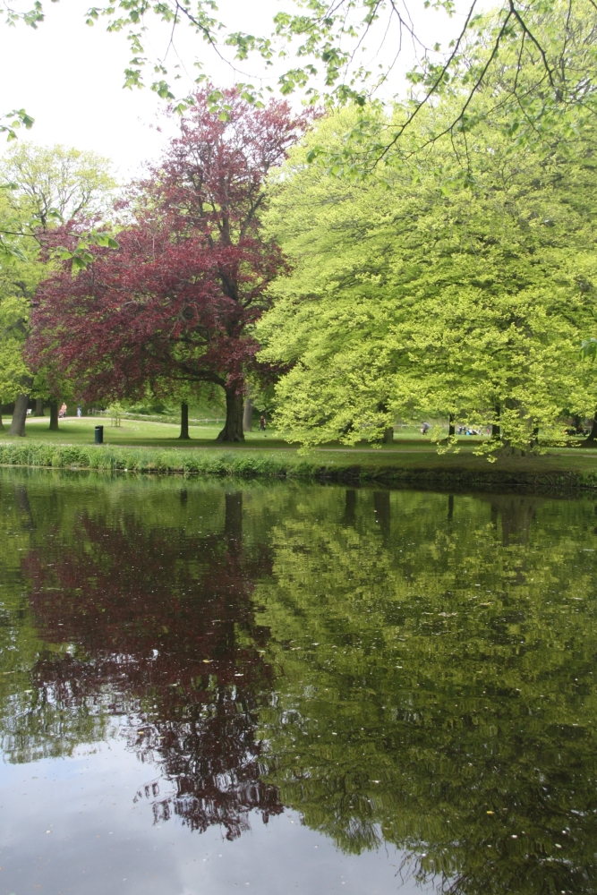 Kleurige weerspiegeling