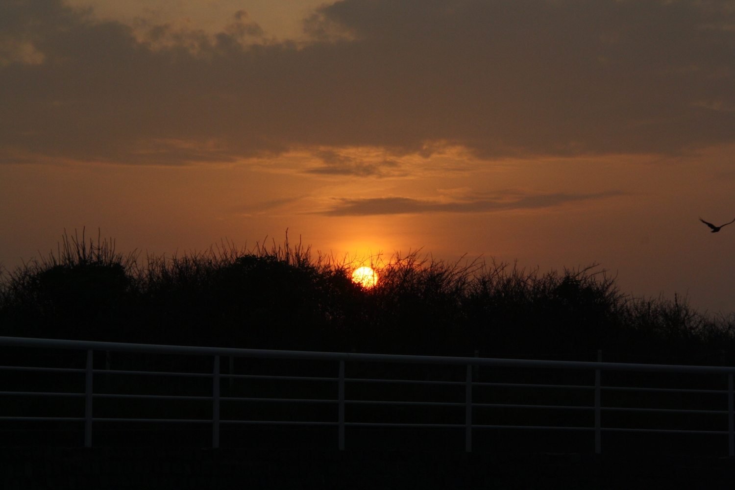 Zonsondergang