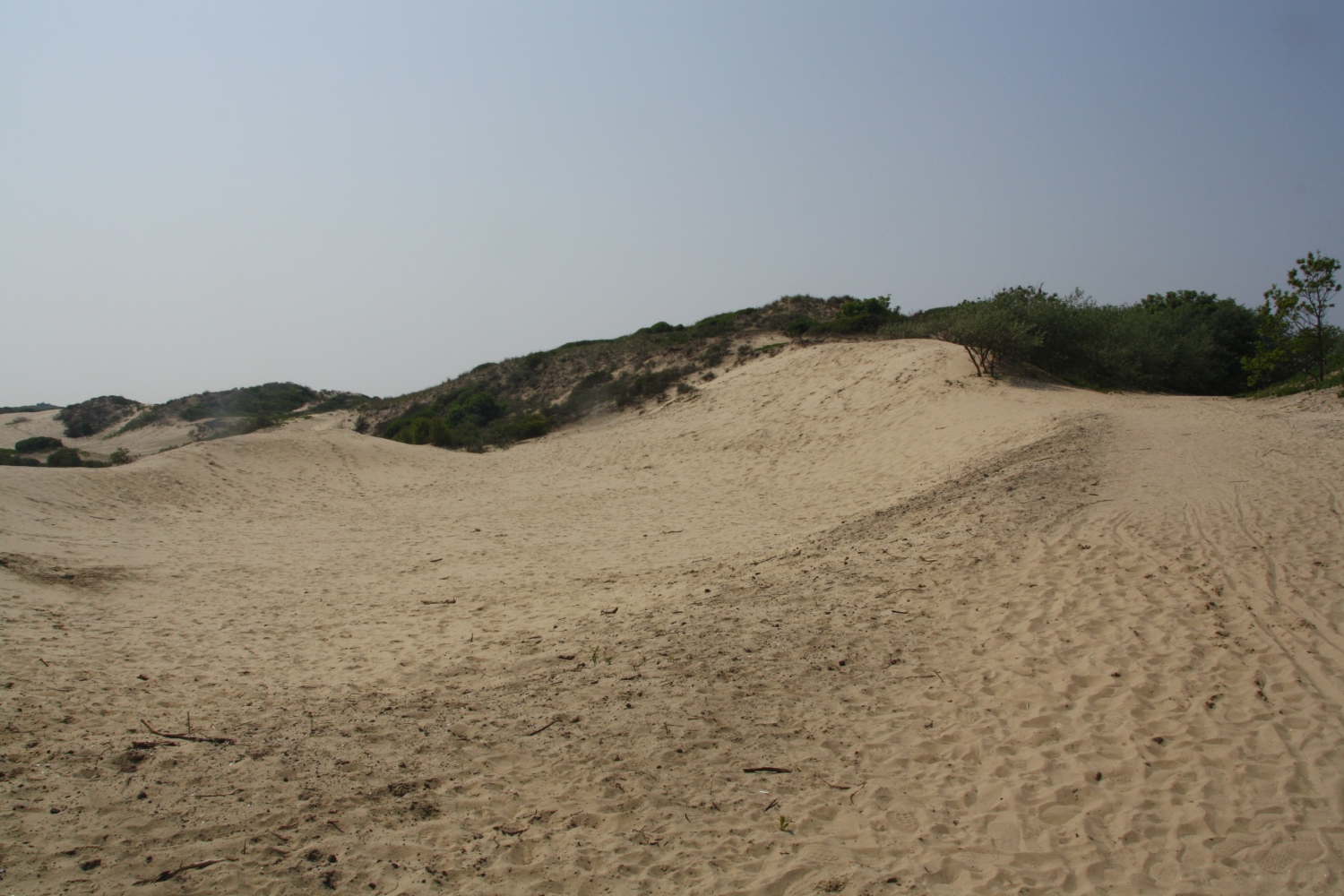 Duinen