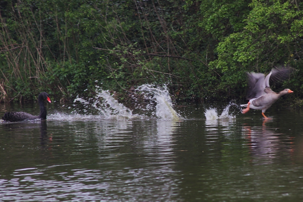Even kijken of ik foto klein heb gemaakt