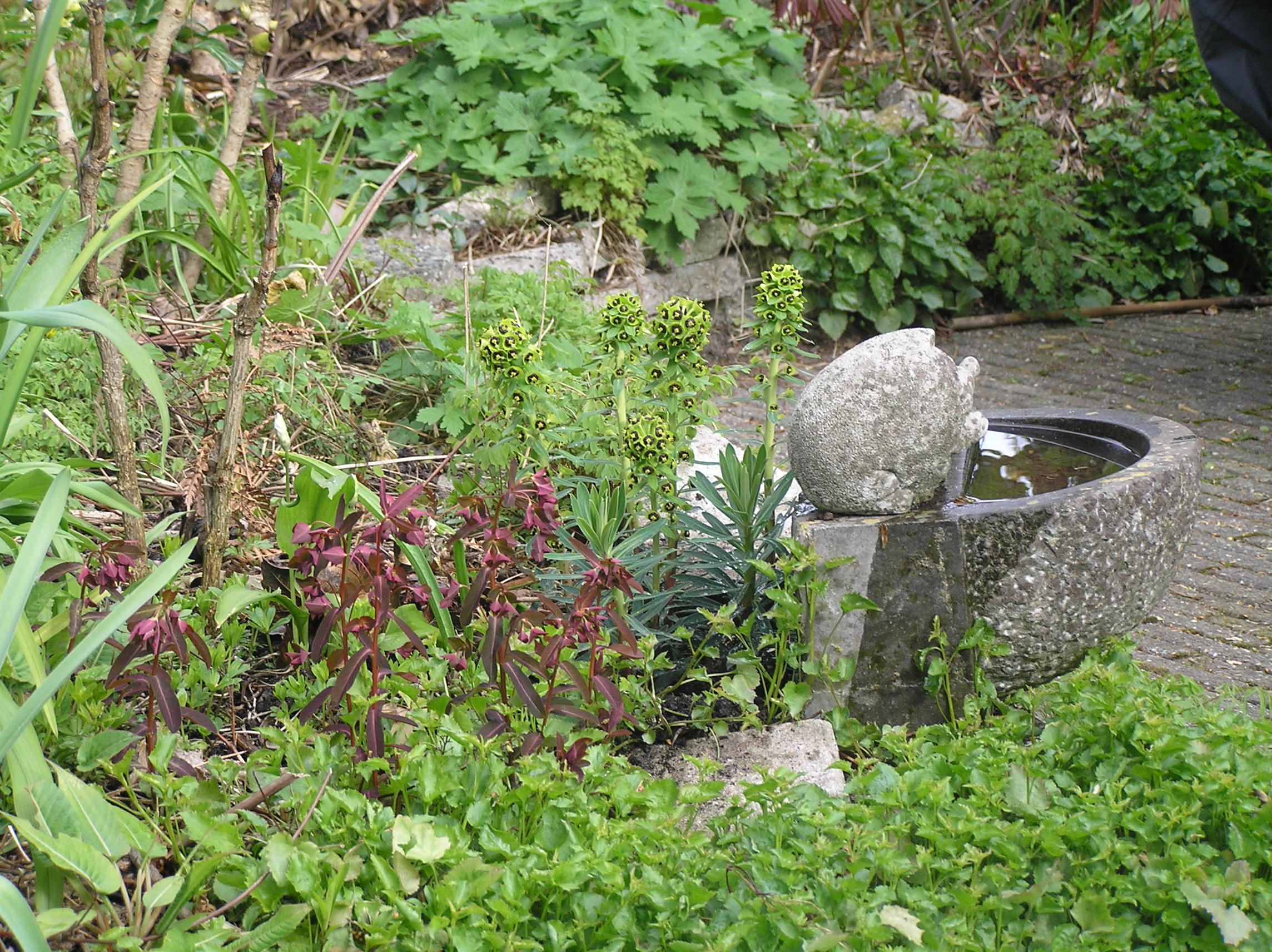 drinkbakje