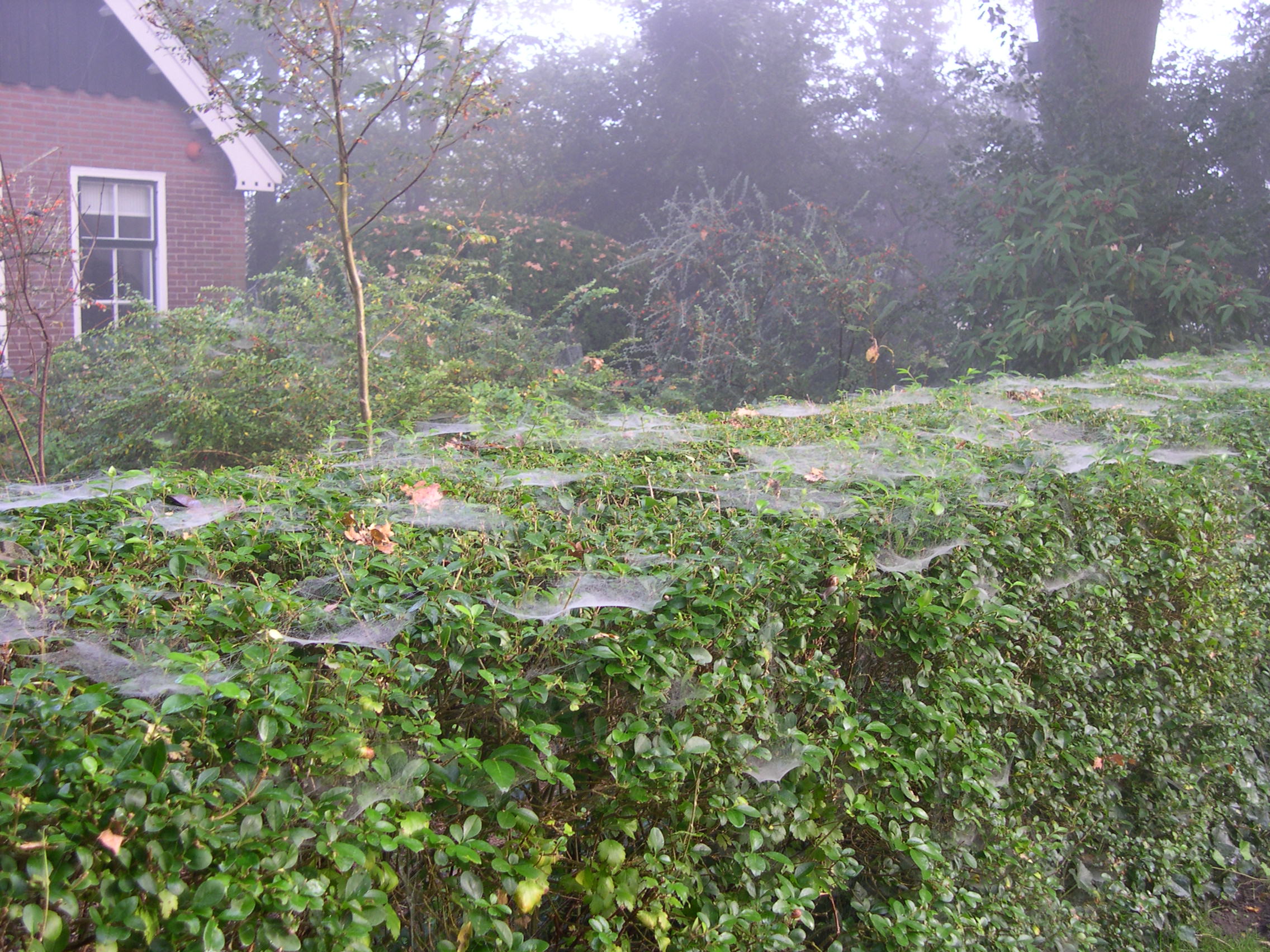 vroege zondagochtend in oktober
