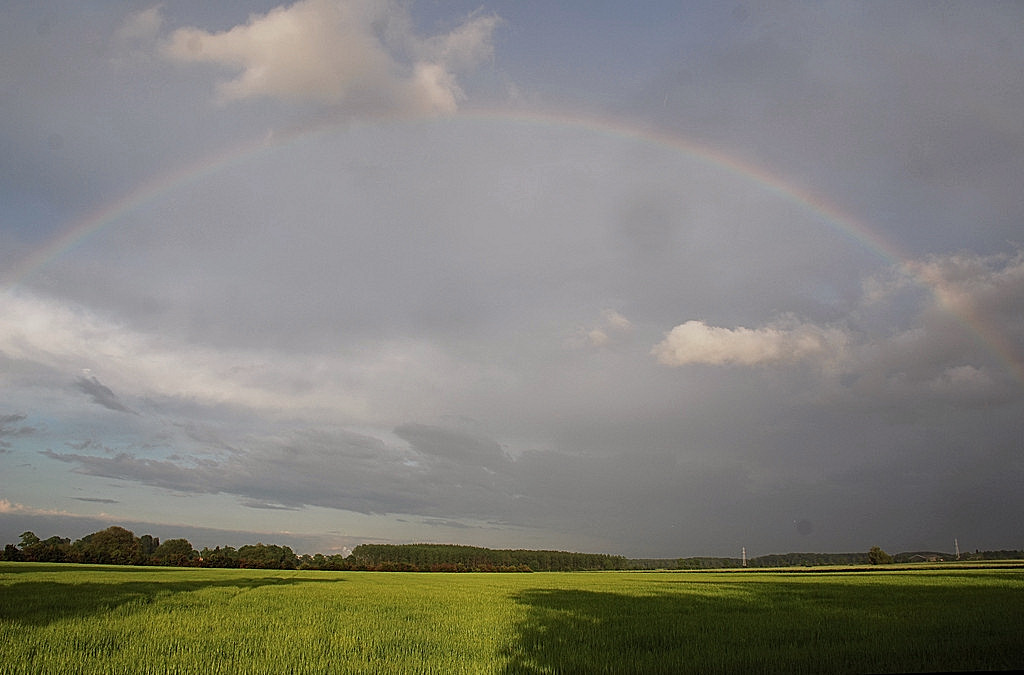 Regenboog.