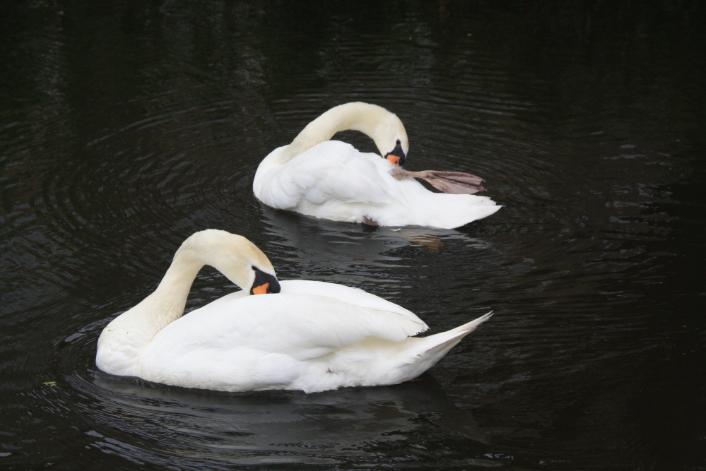 Synchroon schoonmaak