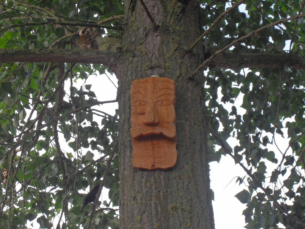 boomgeest/vleermuiskast