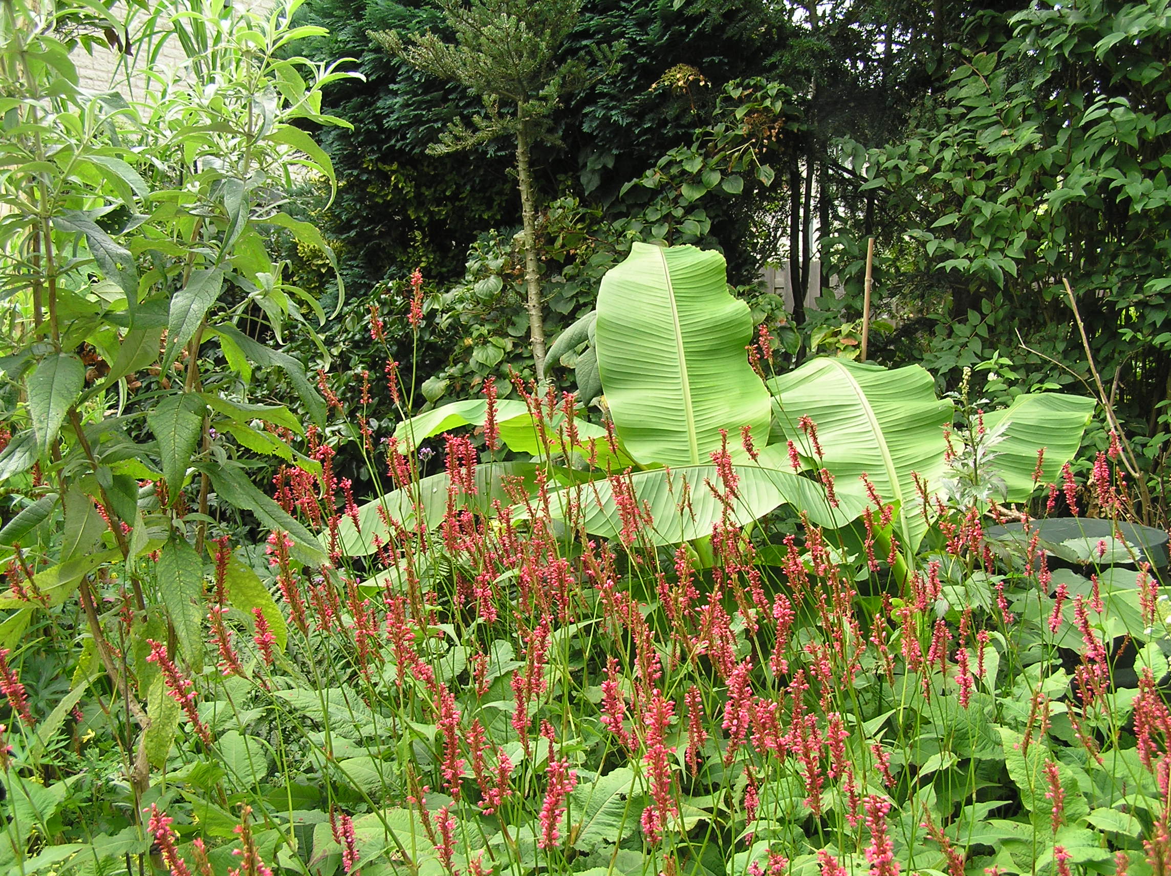 tuin indruk