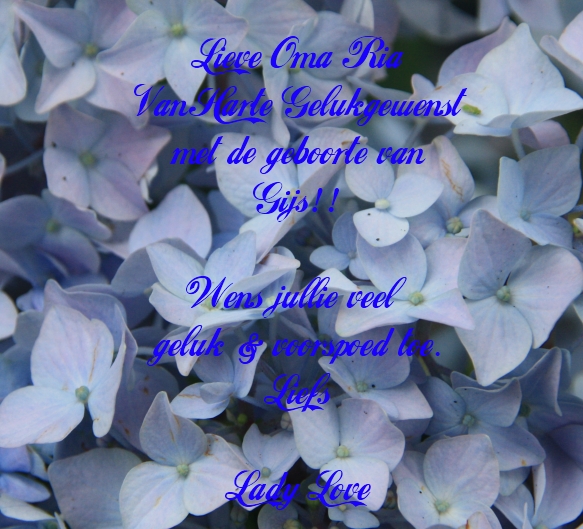 Voor Oma Ria !!!