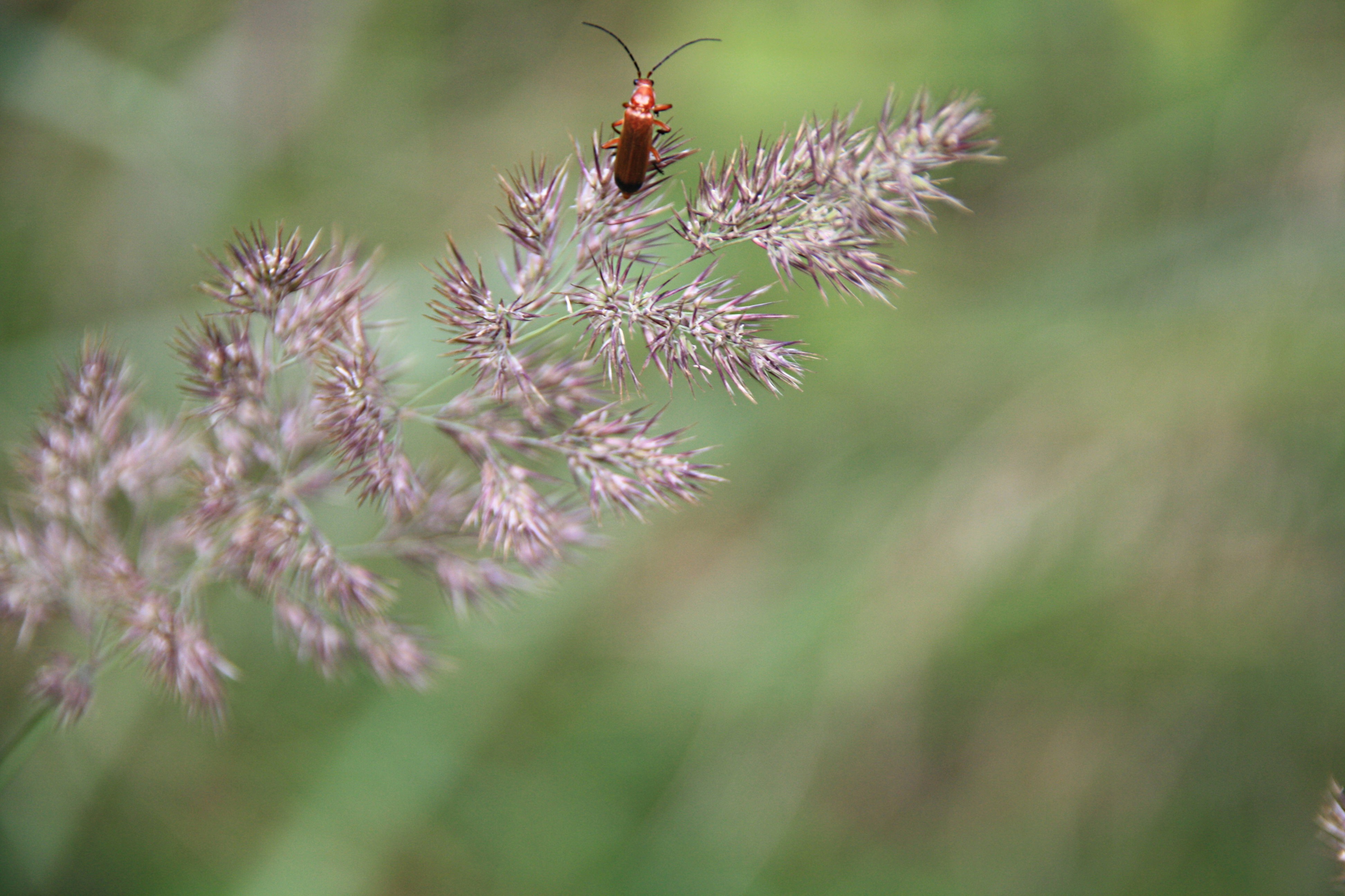 Soldaatje op grote hoogte