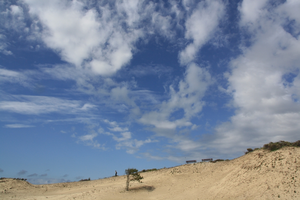 Duinen