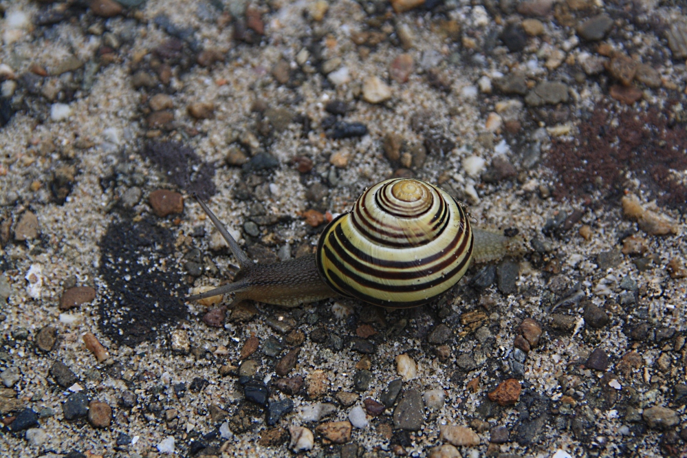 Ik ga op reis en ik neem mee..