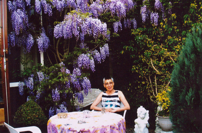 Onderde blauwe regen