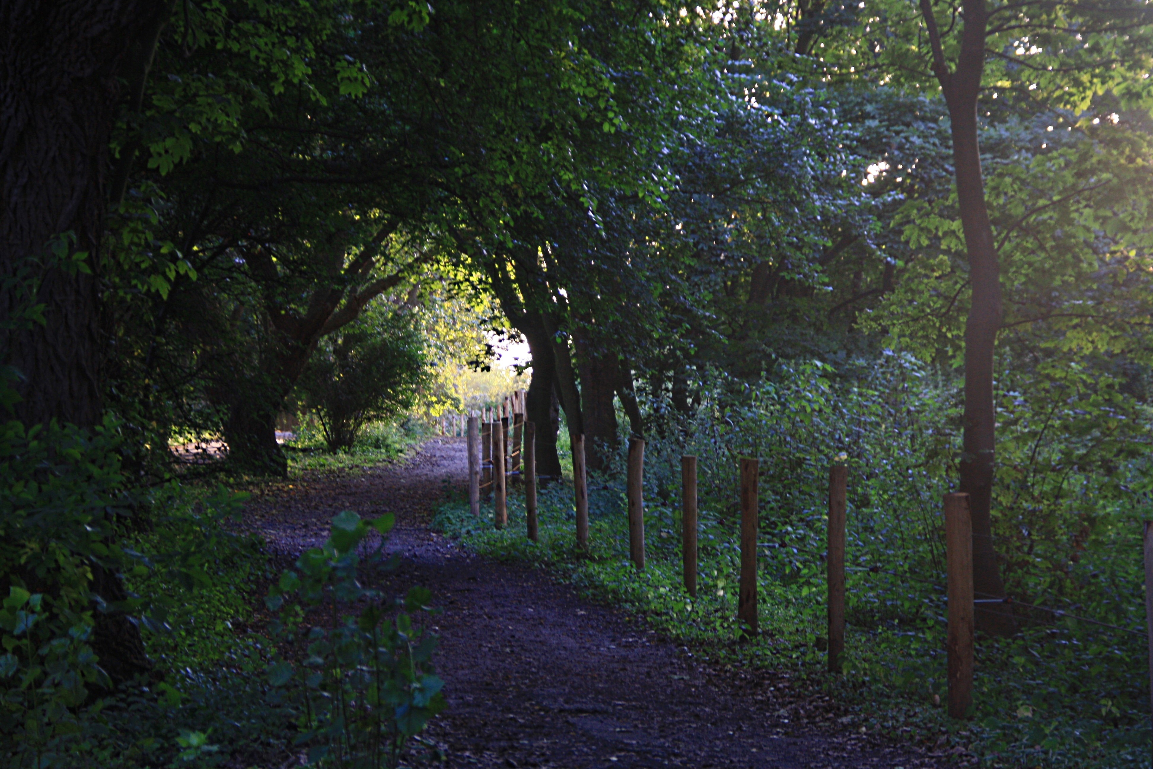 Ga je mee verdwalen..?