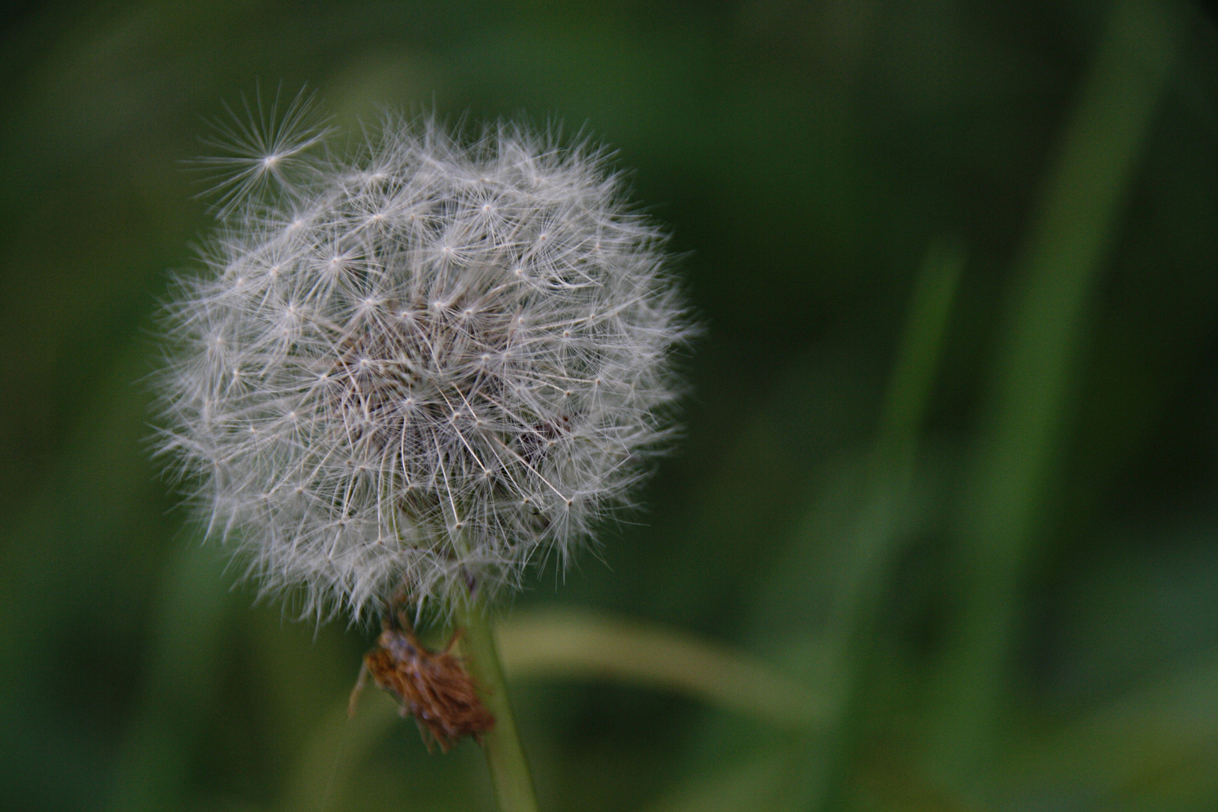 hij wacht op 'n blazer