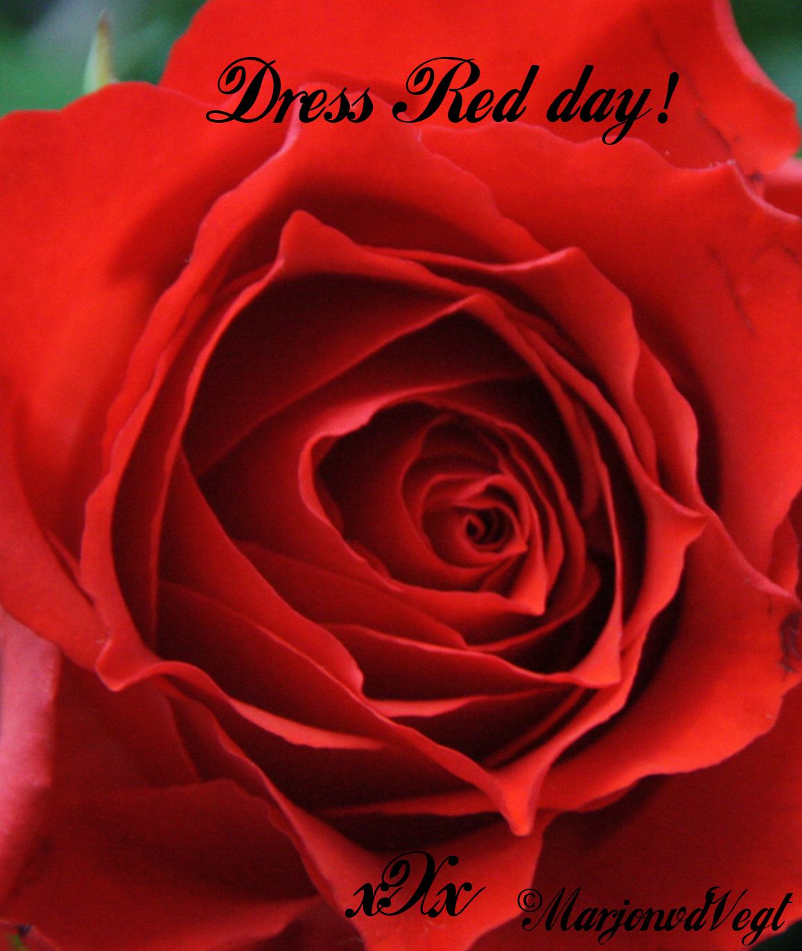 Dress red day !