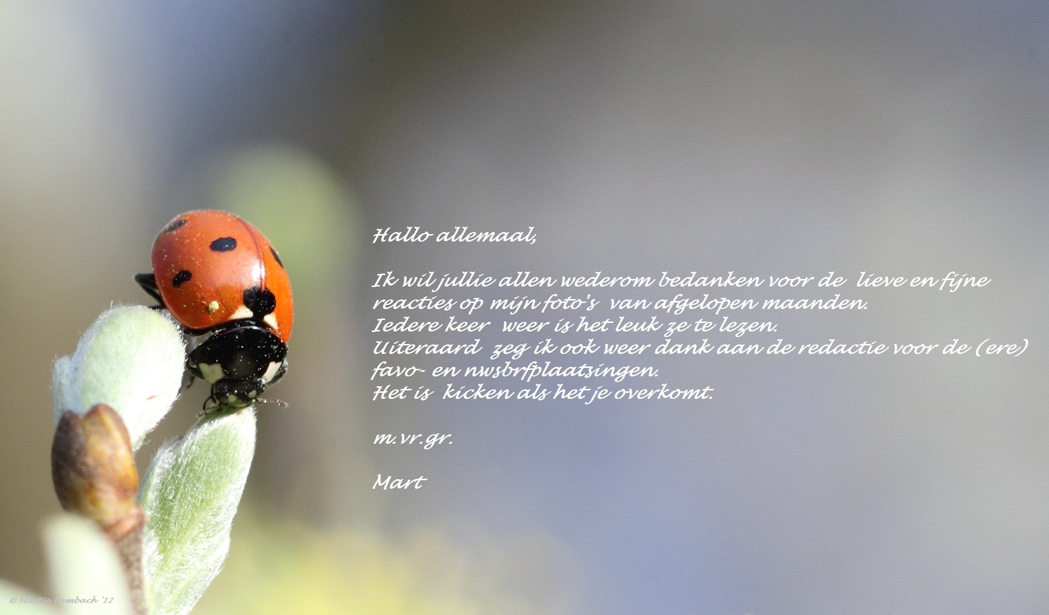 Voor de kijkers thuis 