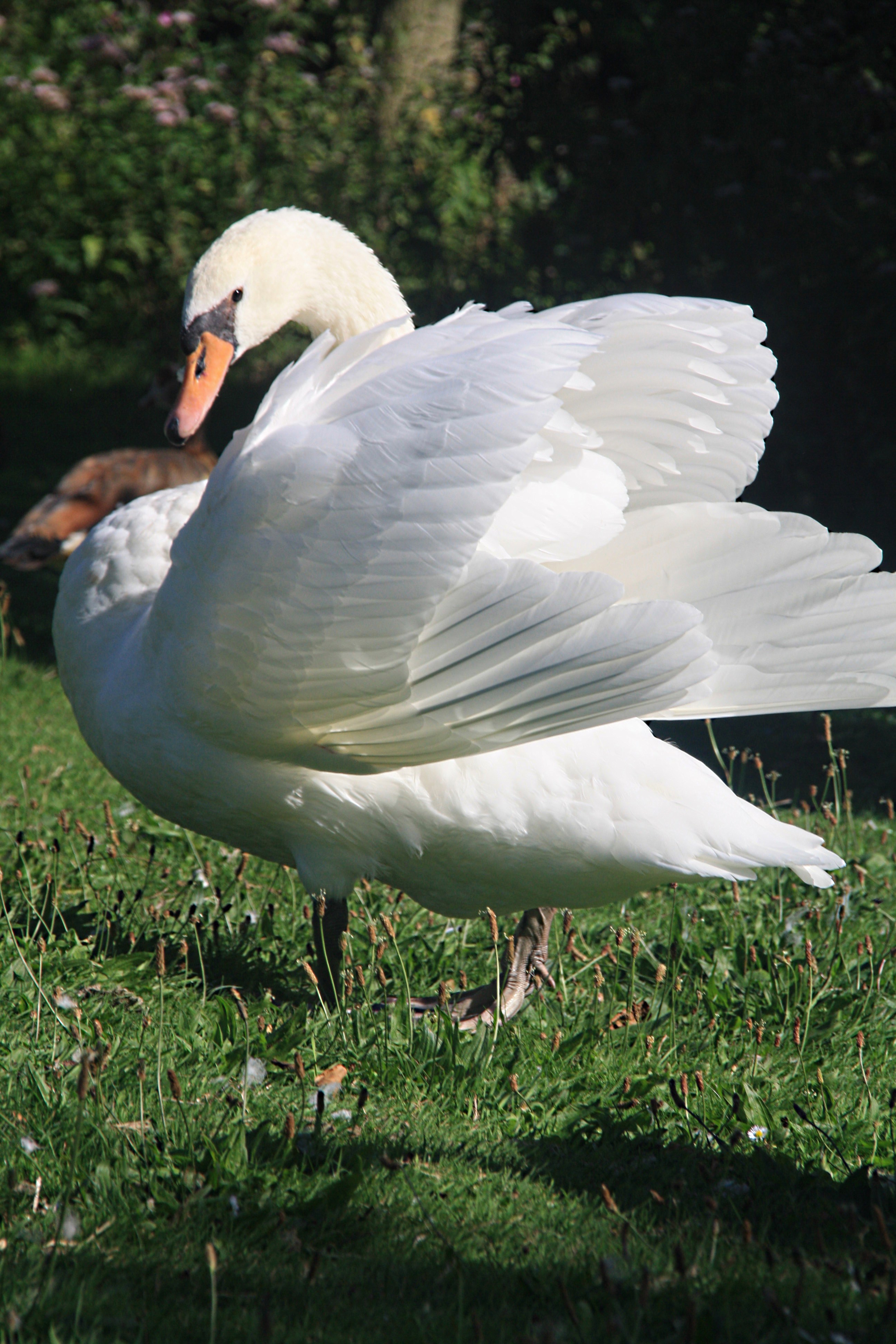 Vaders blijft waakzaam