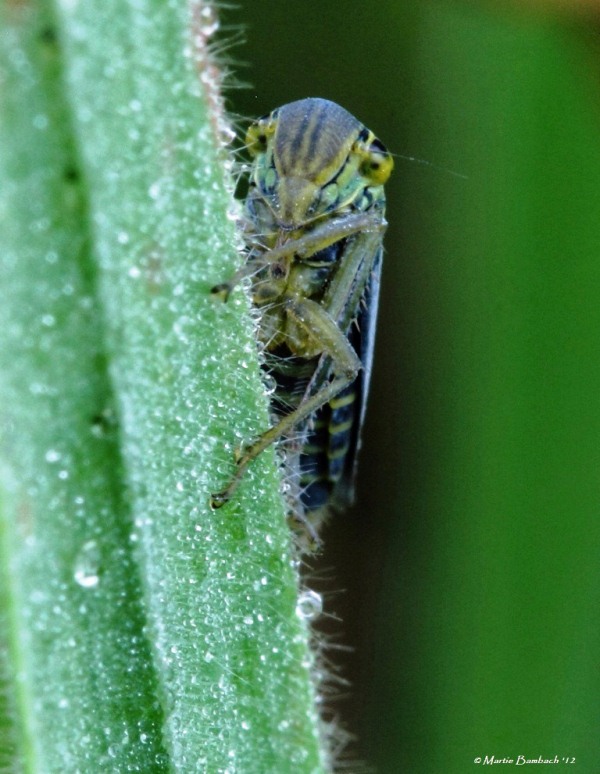 Nee.....Niet  weer he?!