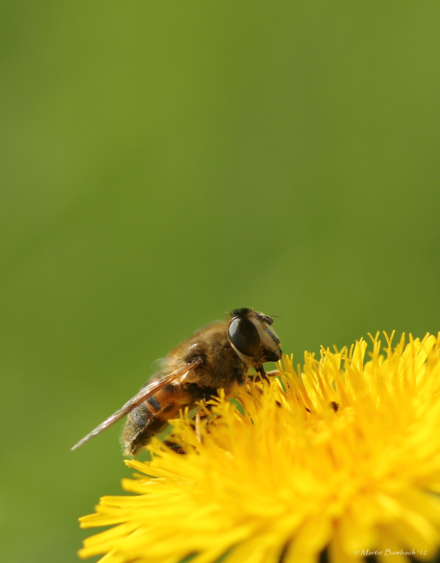 Tussen de buien door