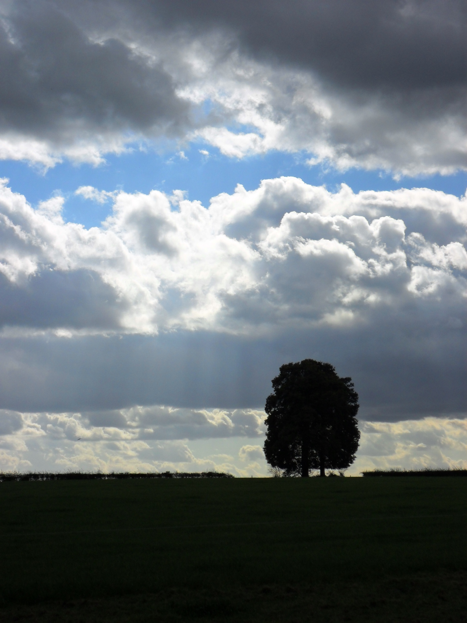 Wolkenlucht