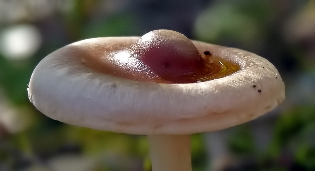 Weer een UFO?