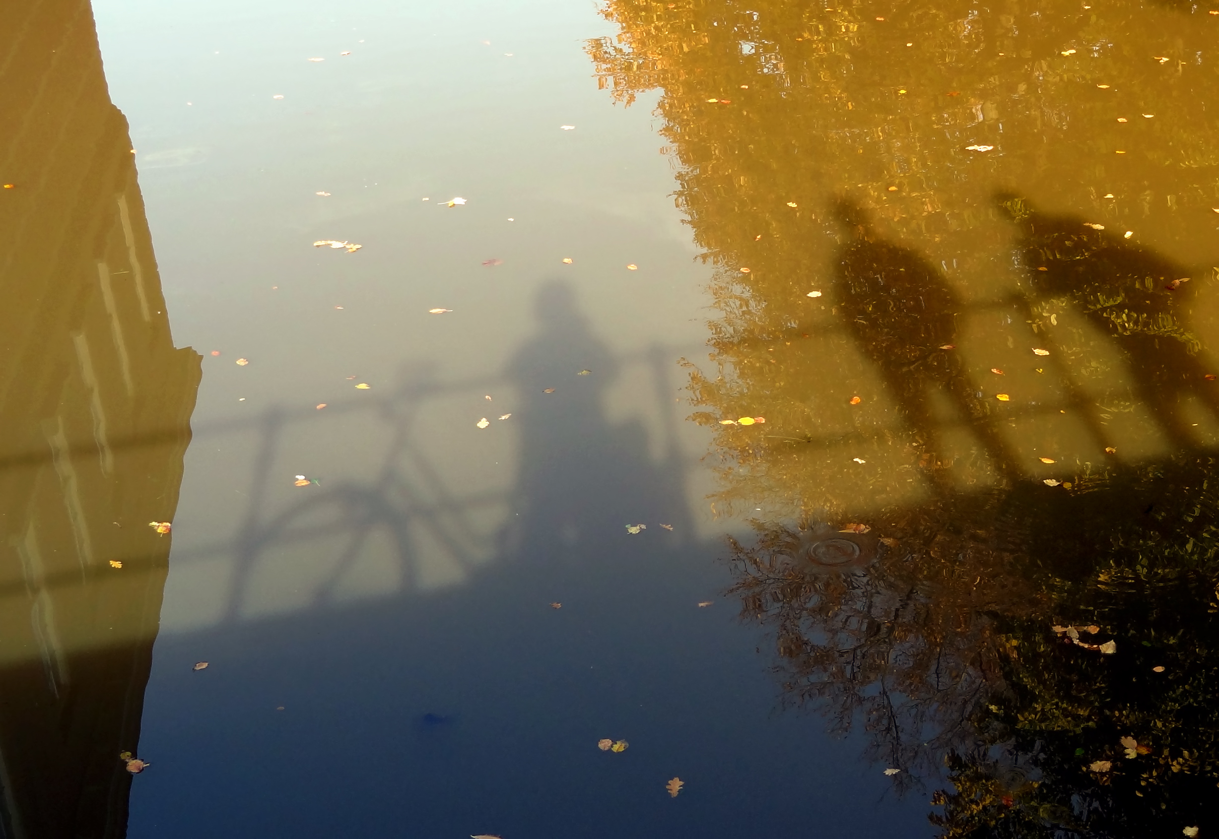 Herfstweerspiegeling