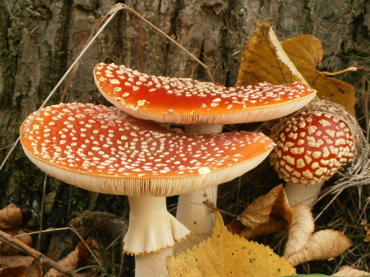 leuk setje midden in de stad